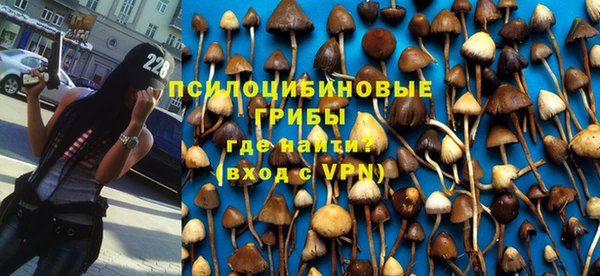 шишки Алексеевка