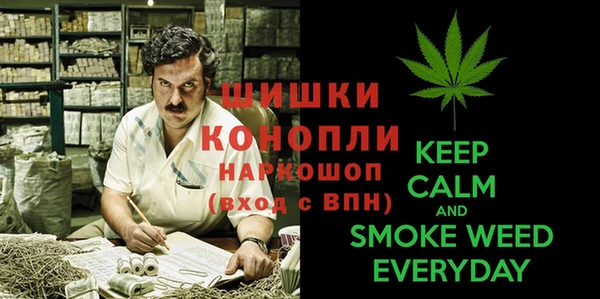 шишки Алексеевка